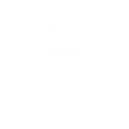 monitoring icon