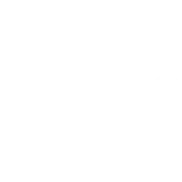 team structure icon