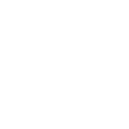 technical requirements icon