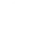 audit icon